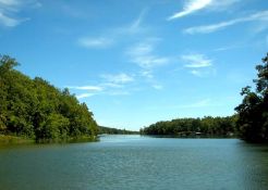 Ozark Acres Opportunity: 11 Adjacent Lots - Build, Invest, Thrive!