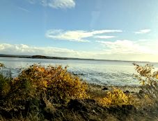 Your Piece of the Pacific Northwest Awaits in Grays Harbor!