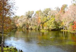 Polk County: Invest in Over an Acre in Sunny Florida!