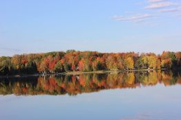 Invest in a Northern Michigan Lot With Access to This 227-Acre Wildwood Lake!