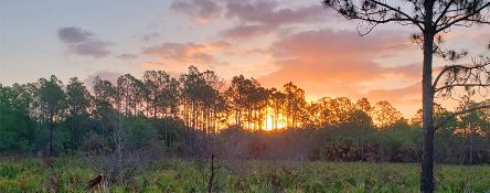 Invest in Charlotte County, Florida!