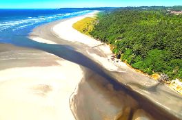 Steps from the Pacific Ocean in Washington!