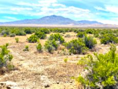 Invest in New Mexico!