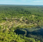 Own a Full Acre in Sunny Florida!