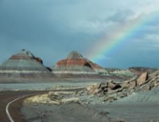 Navajo County: 1.26 Acres of Beautiful Arizona Landscape!