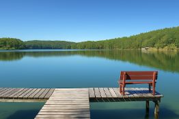 Escape to Nature - Own Land in the Arkansas' Ozarks!