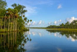 Experience Florida - Own Land in Citrus County!