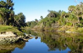 Peace River Charm in Charlotte County, FL!