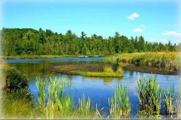 Build Near Michigan's Lake Harold!