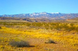 Come & Grow with New Mexico!