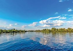 Your River Retreat in Charlotte County, FL!