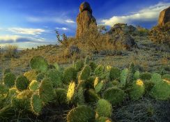 Quarter-Acre Gem in Valencia County, NM!