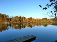 Land in the Arkansas Ozarks!