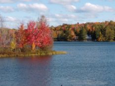 Northern Michigan Lot Near Wildwood Lake!