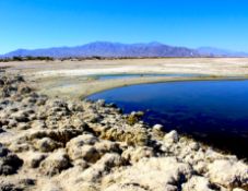 CA Living by the Salton Sea!