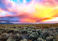 Quarter Acre in Thriving Valencia, NM!