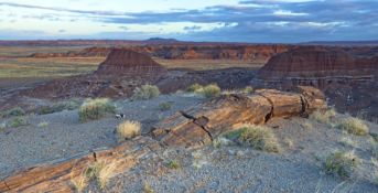 1.26 Acres in Navajo County Arizona!