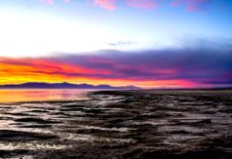 Relax by the Salton Sea, CA!