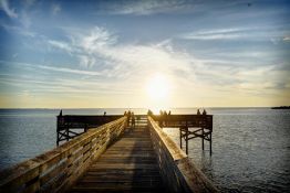 Find Your Sunshine in Citrus County, Florida!