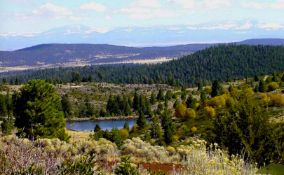 10 Lot Package in Modoc County, CA! BIDDING IS PER LOT!