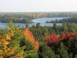 USA Summer Savings Land Auction!