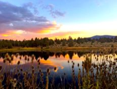 Over an Acre to Build in California Pines!
