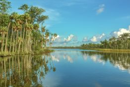 Escape to Citrus County, Florida!