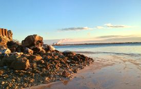 Close to MI's Lake Erie Coastline!