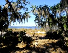 1.25 Acres in Polk County, Florida!