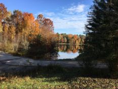Osceola County, MI Lot near Lake Miramichi!
