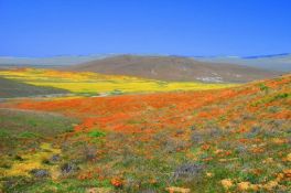 Discover Iconic Los Angeles County, California!