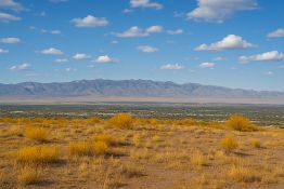 Quarter Acre in Valencia, New Mexico!