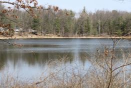 Historic Idlewild Lake Lot in Lake County, Michigan!
