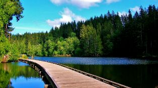 Grays Harbor, Washington: A Beautiful Lot by the Mountains and River!
