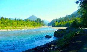 Explore Grays Harbor, Washington: Scenic Lot by the Chehalis River!