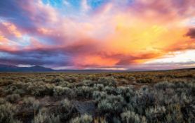 Quarter Acre Lot in Valencia County, New Mexico!
