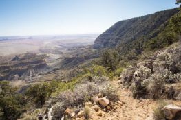 Mountain Views in Navajo County, Arizona!