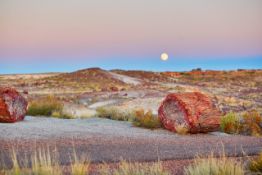 Mountain Views in Navajo County, Arizona!