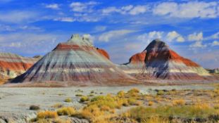 Own the Magnificent Landscape in Navajo County, Arizona!