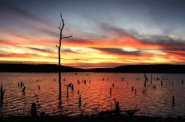 Twin Oaks Harbor, Missouri: A Camping Lot to Enjoy the Great Outdoors!