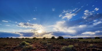 Invest in Land in New Mexico!