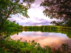 Lake County, Michigan: Own a Historic Idlewild Lake Lot!