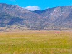 Don't Miss Out - See Why New Mexico is Growing!