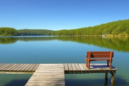 Own 11 Adjacent Lots in Arkansas!