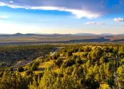 Quarter-Acre Lot in Valencia County, New Mexico!