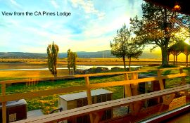 Build on Over an Acre in California!