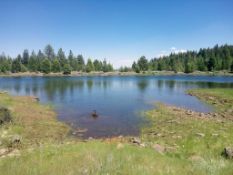 10 Lot Package in Modoc County, CA! BIDDING IS PER LOT!