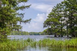 Warm Waters and Fun in the Sun in Florida's Citrus County!