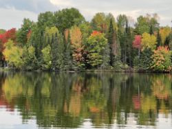 From Coast to Countryside: America's Land Auction!