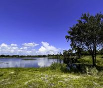FINANCE PACKAGE: 10 Lots in Polk County, Florida! Your Bid is Your Down Payment!